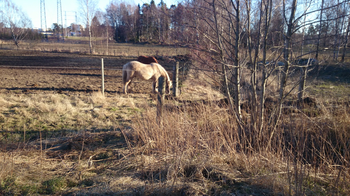 Erstaviks herrgård och Lilla Högmora gård
