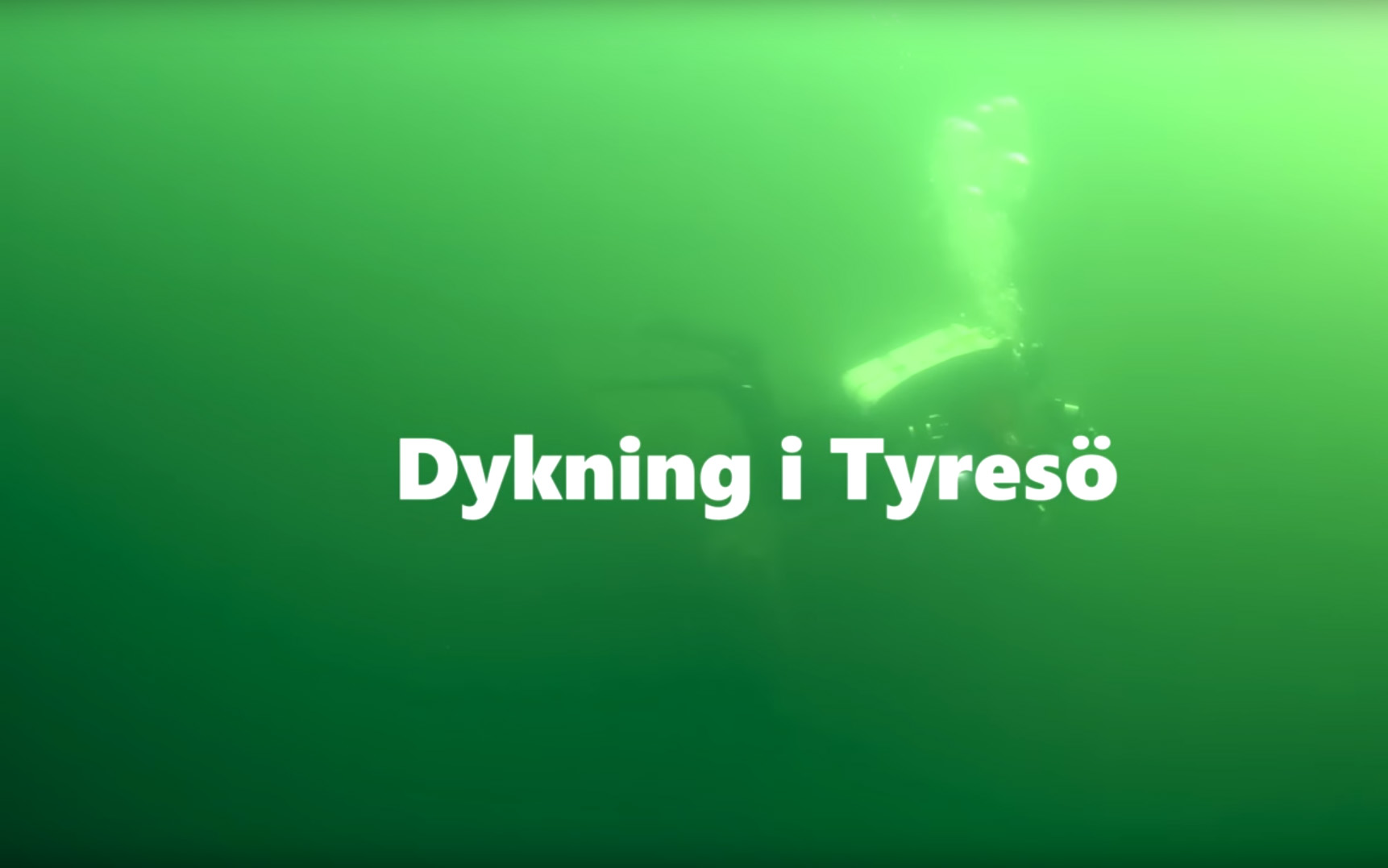 Dykning i Tyresö