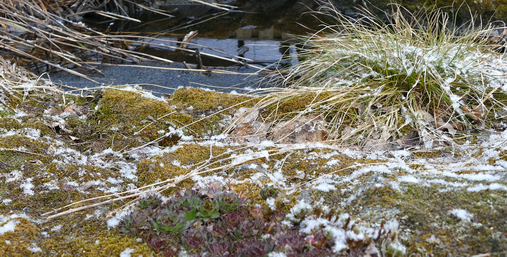 Det märkliga vädret i Tyresö Kommun under April