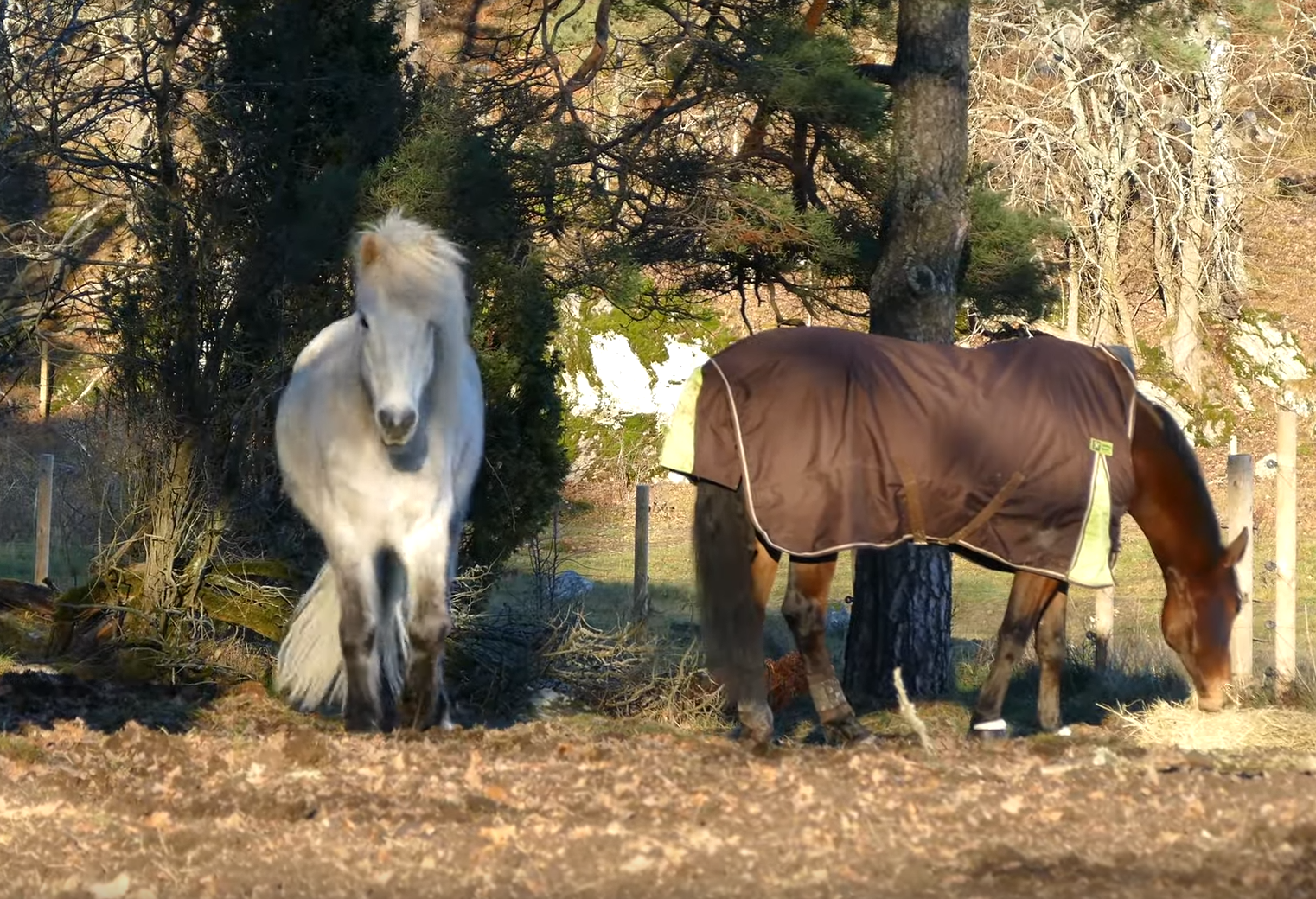 Uddby gård i Tyresö