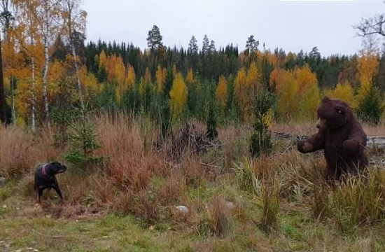 Mystisk "Björn" hittad i Tyresö