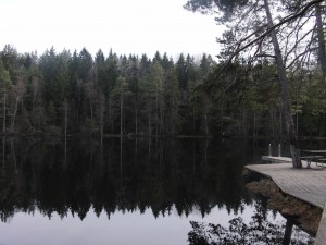 Barnsjön Tyresö