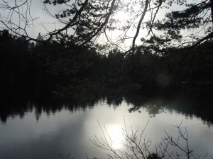 Badplatser i Tyresö