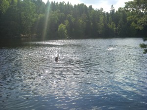 Badplatser i Tyresö