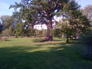 Tyresö slott restaurang